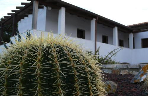 Agriturismo Agave - Photo 22