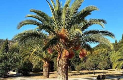 Casita Higo - Foto 20