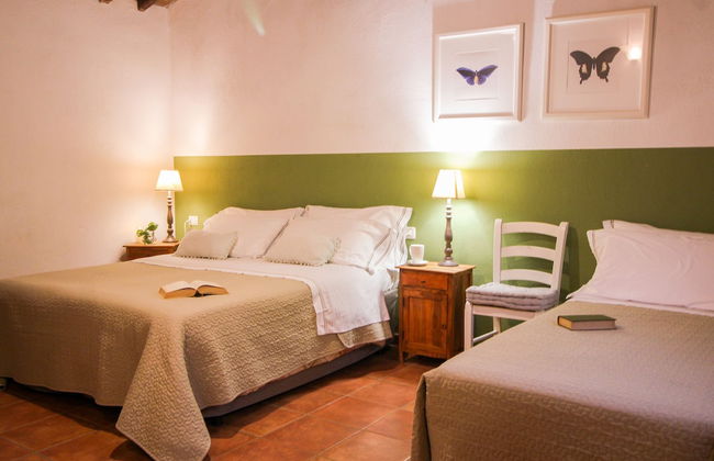 Boschi di Montecalvi - Foto 43