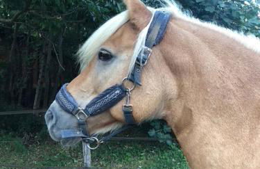 Agriturismo Biomatto - Foto 22