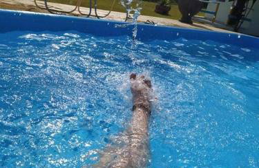 Casa de Campo Chácara Recanto da Águia - Foto 40