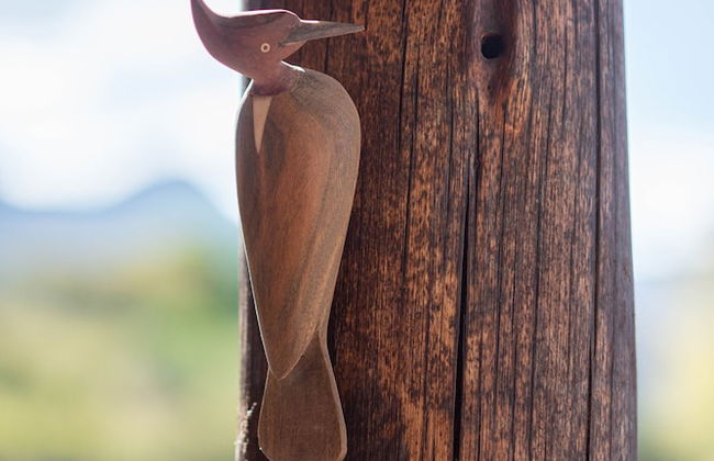 Loma Puskana-Casas - Foto 57