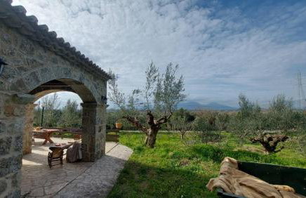 homonatura petrinum - Foto 31