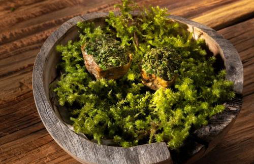 Skyview Chalets am Camping Toblacher See - Foto 41