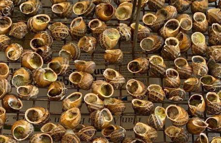 La Villa Azul - Foto 48