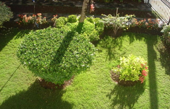 Dre Broeders rent apartments Juan Dolio - Foto 66