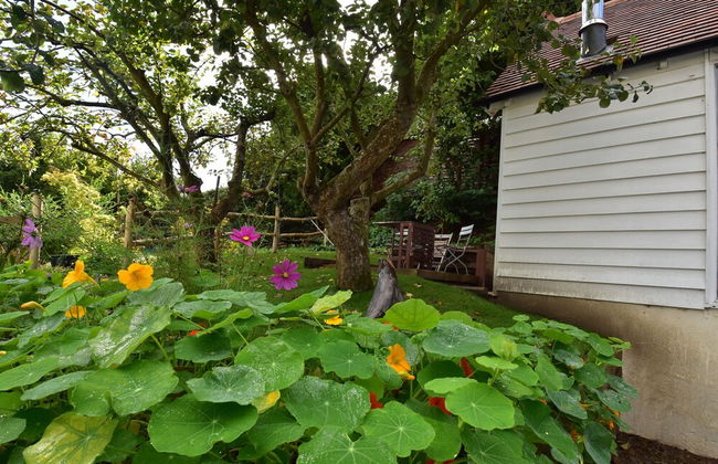 Applecote - Rye - Foto 46