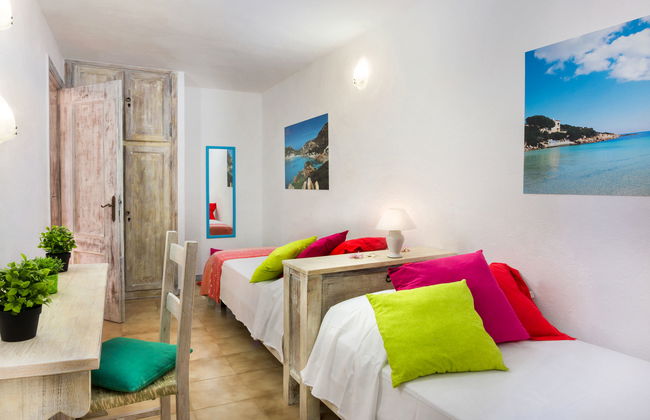 Bougainvillae Trilo Plus - Foto 13