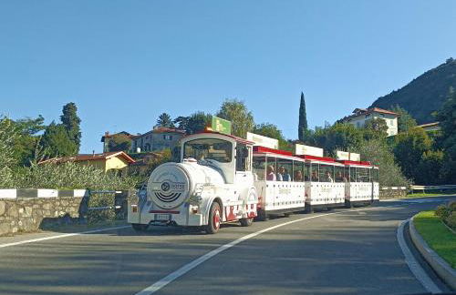 BELLA VITA! - Foto 22