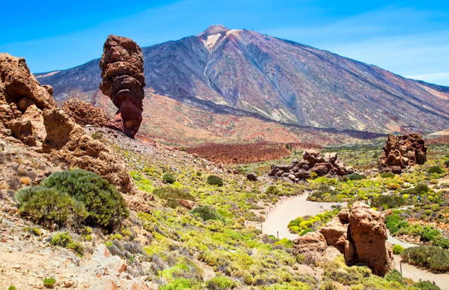 Tour in jeep al Teide e a Masca - Foto 6