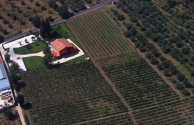 Masseria Campierti - Foto 38