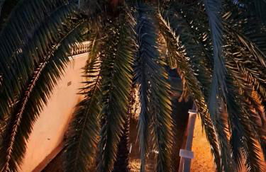 La Casa Celestial - Foto 45