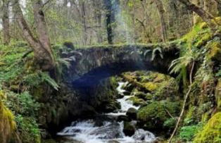 mcastet, casita aranesa en el valle de aran - Foto 60