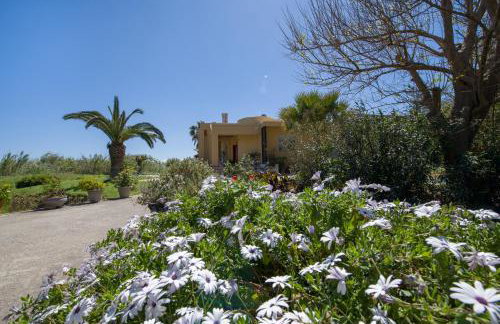 Gea Maleme - Foto 37