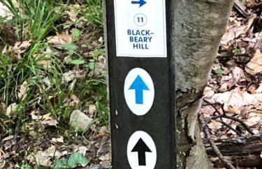 Blue Knob Bear Den (Nordic Center/Golf Course) - Foto 31