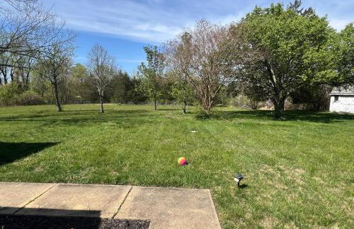 Crystal Place - Foto 13