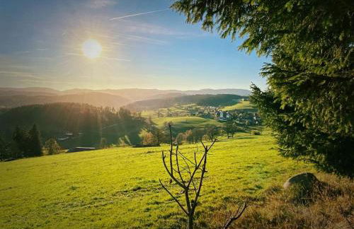 Gästehaus Steiert Fewo Kuhbergblick - Photo 31