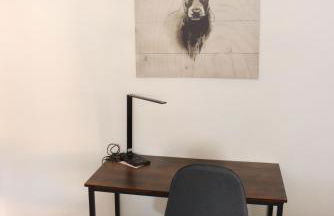 Schwarzwald-Idylle in Triberg - Foto 8