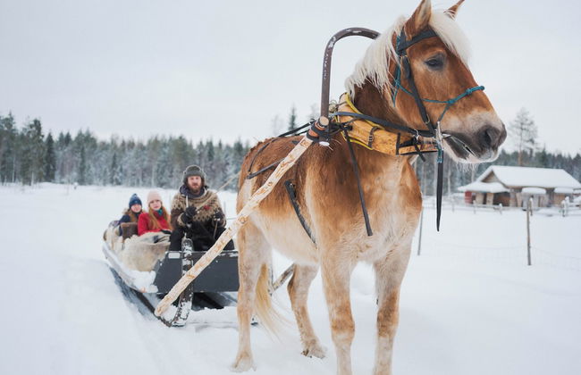 Ranua Resort Holiday Village - Foto 24