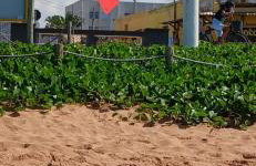 Apartamento em Jacaraípe com quarto climatizado - Photo 20