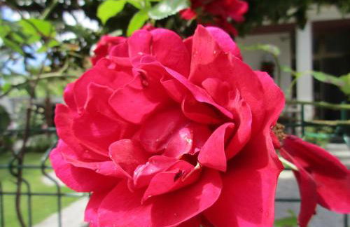 CASA ROMAN ITALIA, Center Sacile - Foto 46