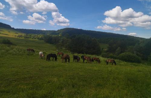 Pastelova Krova - domki w Bieszczadach - Foto 28