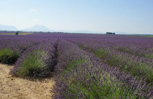 Lou pichoun studio au coeur d'un village provençal - Foto 39