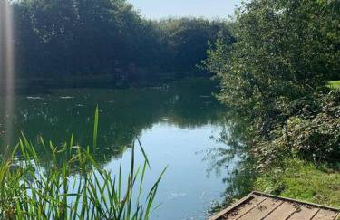 Hengar Manor 4 bed Sleeps 9 - Foto 39