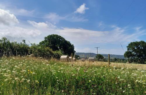 1 Cowdea Farm - Foto 23