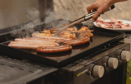 L'Orgelétaine : Grande Maison au milieu des Lacs du Jura - Foto 47