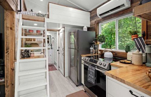 Off-Grid Cabin Surrounded by Trees in Pineville, Missouri - Foto 9