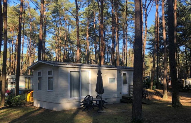 Chalet With Garden in Antwerp Kempen - Foto 19