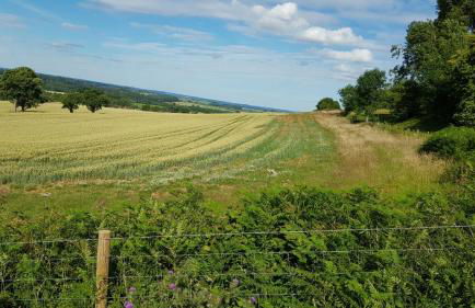 The Forge - Beautiful Contemporary Barn - Hot Tub - Foto 23