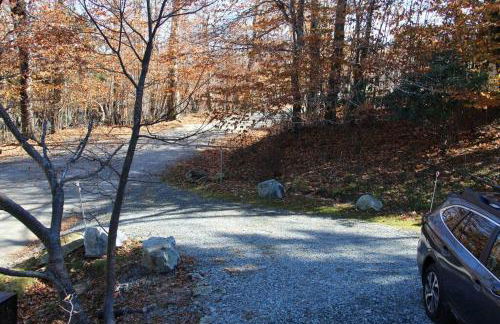 Cozy Cabin Walkable to Beech Mt Resort - Foto 20