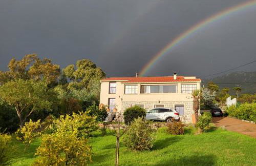 Casa Kallinina - Foto 22