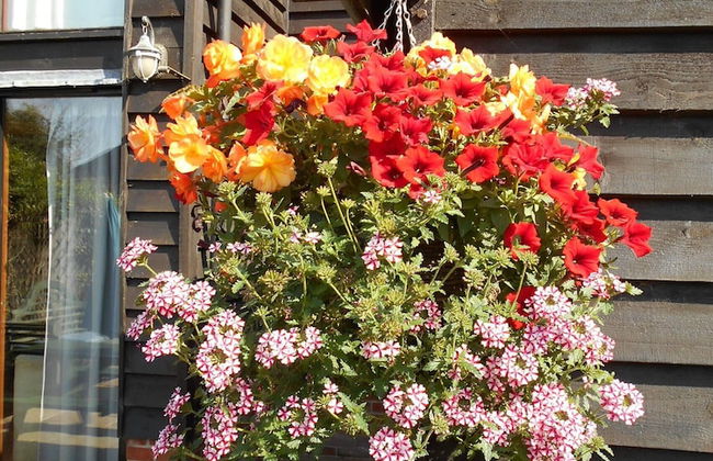 Brundish, Suffolk Large 4-bed Barn Stunning! - Foto 21