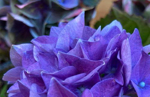 Ferienwohnung Hirschsprung - Foto 59