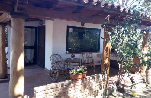 Tiny House - Foto 13