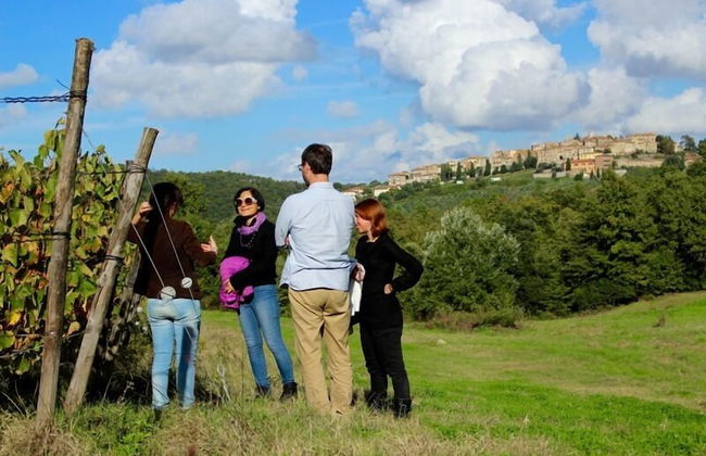 Agriturismo Fattoria Del Colle - Foto 35