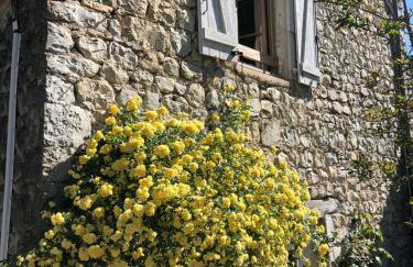 Gîte des pins - Foto 17
