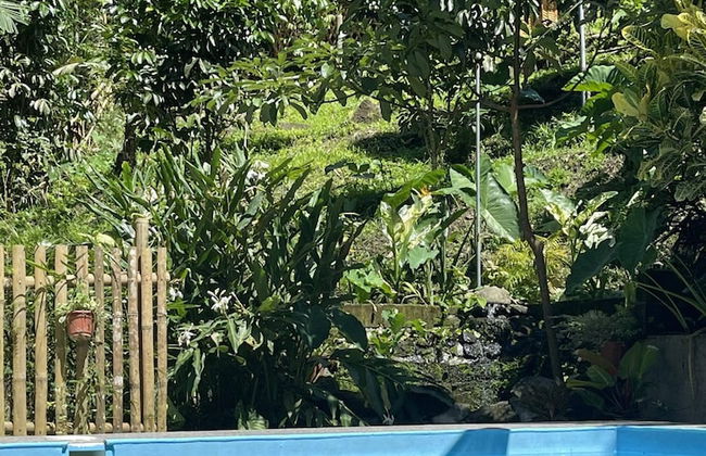 The Twin Studio Cottages - Foto 23