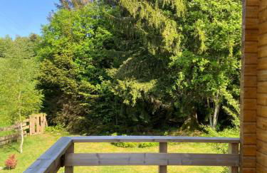 Chalet bois au calme, en lisière de forêt, balcons, sentiers balades Gérardmer & Alsace "Chalet Mon beau sapin" - Foto 12