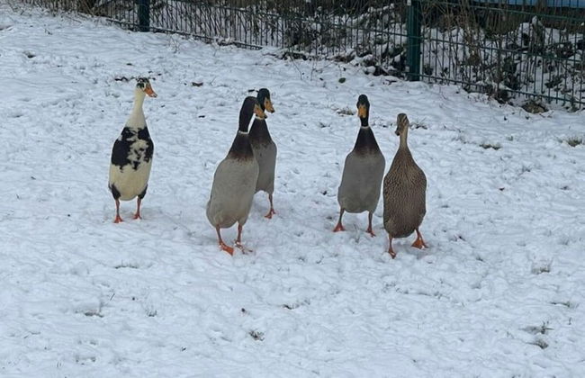 Nice Apartment in Himmelkron - Foto 11