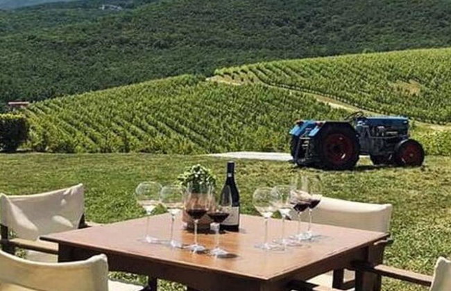 Vergina, Naousa and Edessa - Full-Day Private Tour - Foto 7