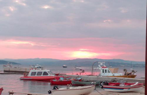 Pansion Katerina - Foto 29