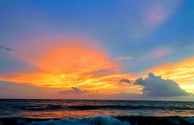 Tranquil Waters - Photo 21