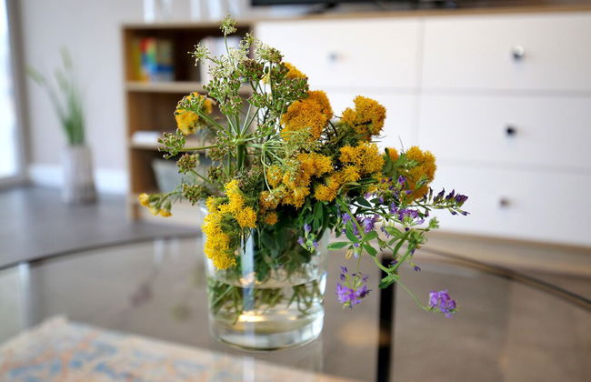 Villa Pag Sea View - Foto 4