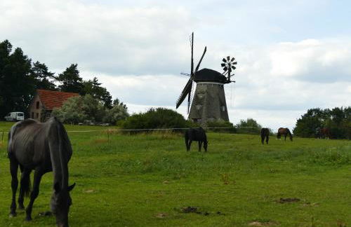 Bungalow Green Forest - Foto 26