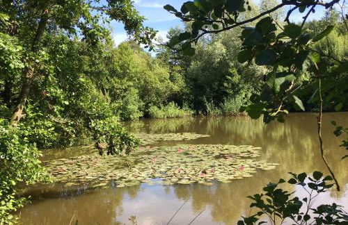 Forellenhof - Foto 11