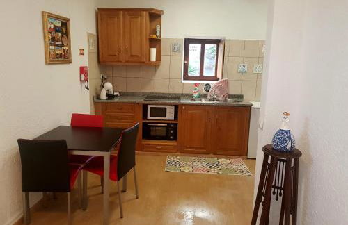 José Domingos - Foto 50